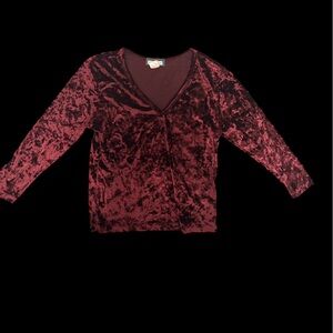 ✨ Burgundy velvet long sleeve top✨